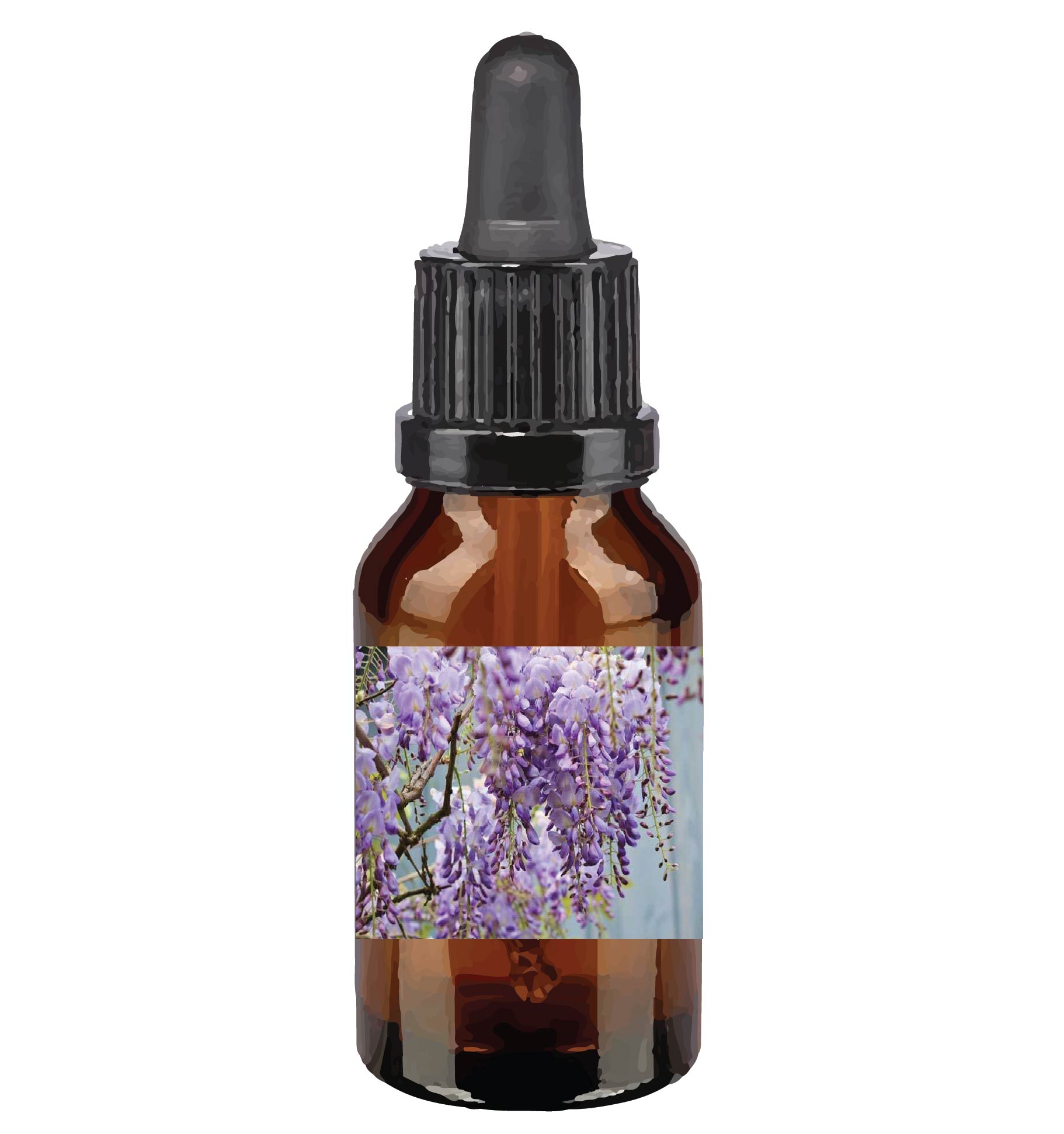 harmonie quantique - quantic-bush-australien_wisteria