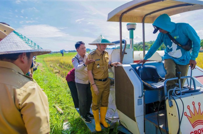 Wali Kota Bogor, Dedie A. Rachim, bersama Forkopimda dan kelompok tani saat melakukan panen raya padi menggunakan mesin Crown Combine Harvester di IP2TP Muara Lanbow, Kota Bogor, Senin (7/4/2025). Foto: Istimewa