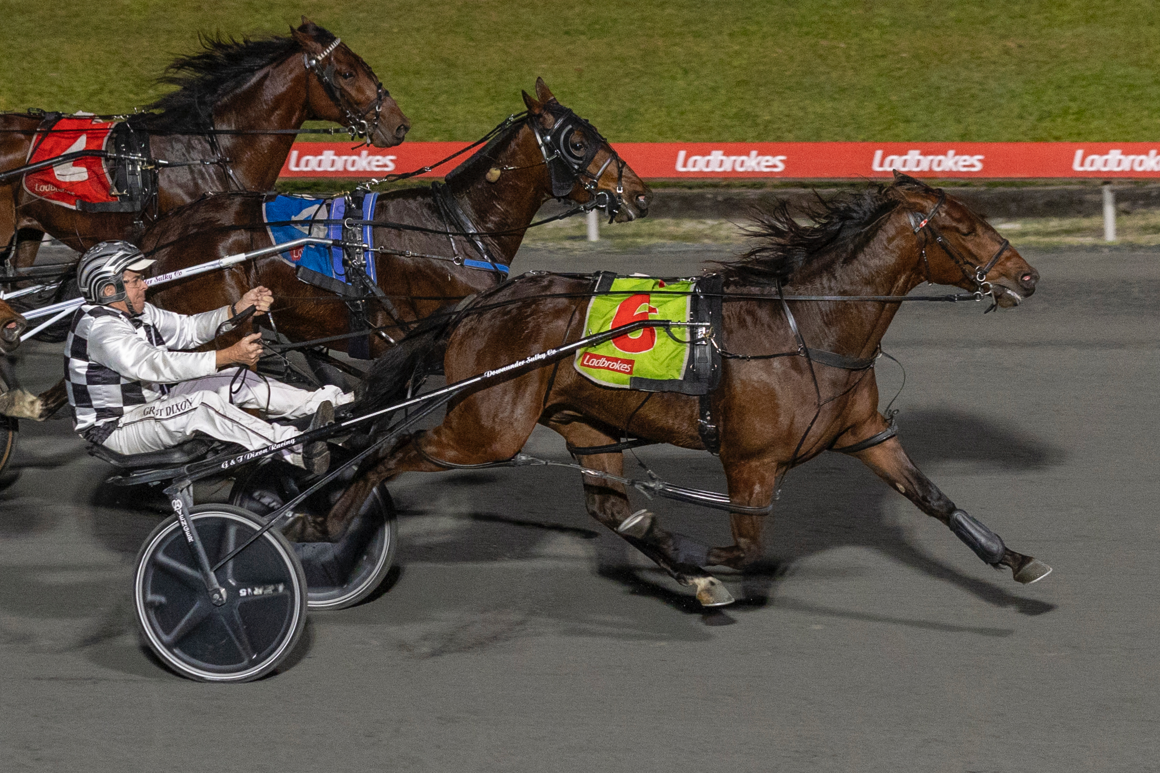 Dixon tells about his three Eureka runners