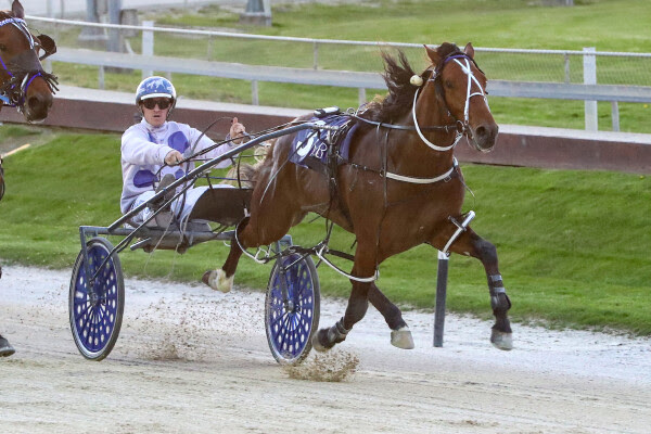 Large weapons are set on spring