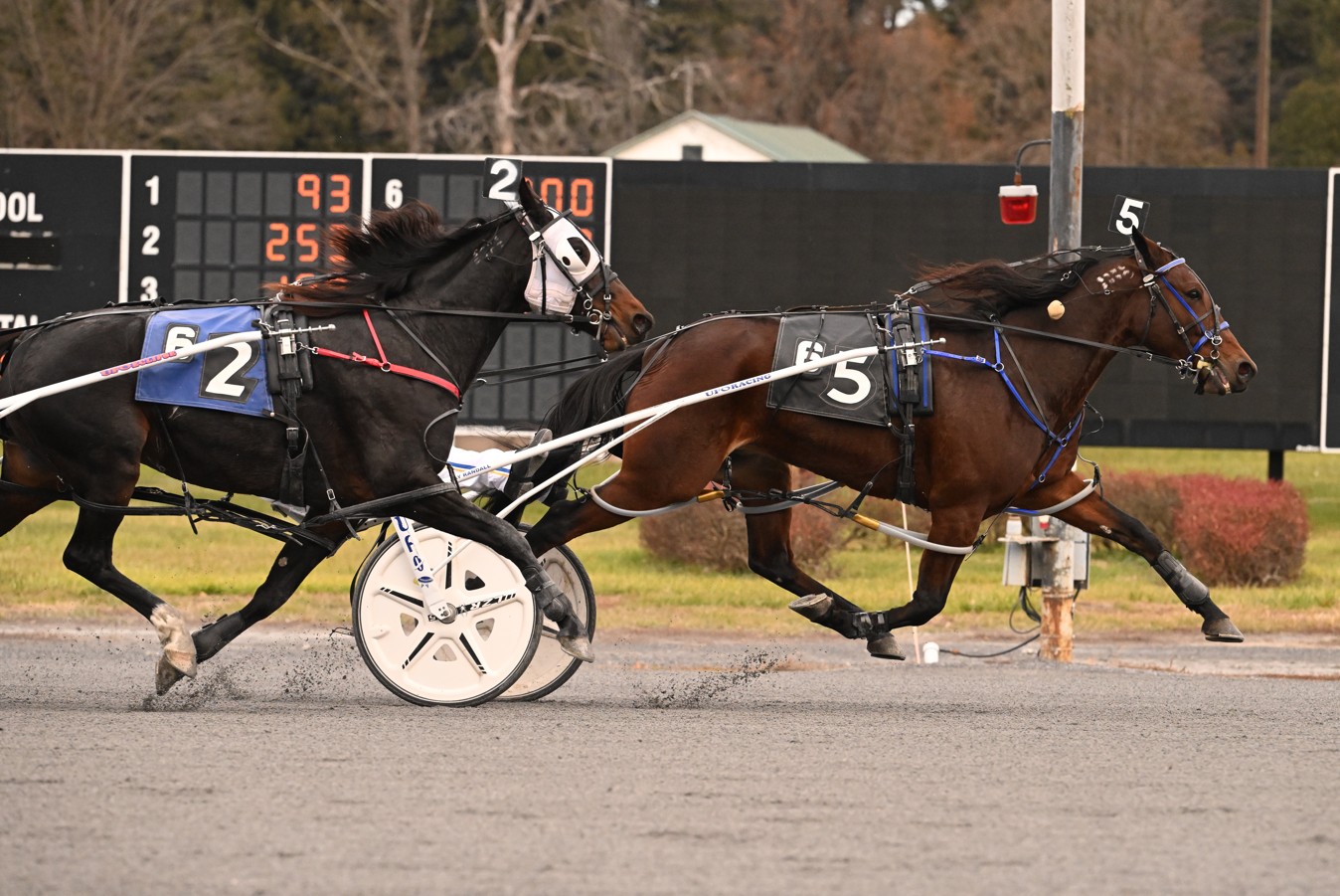 Racy Roxy A is completely open about it at Fillies & Mares