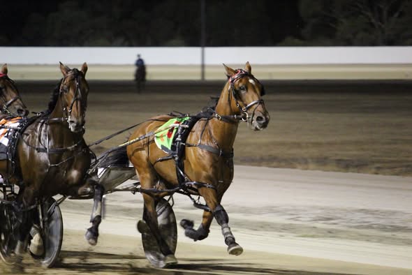 Ata Rangi has won the entire Ararat Cup.