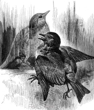 Robin S Weir - Best Landscape Arts in 8K