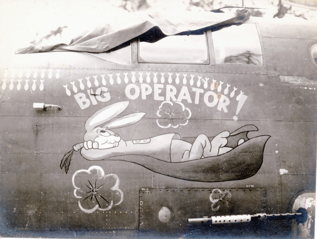 B-25 Nose Art - Harry Dole