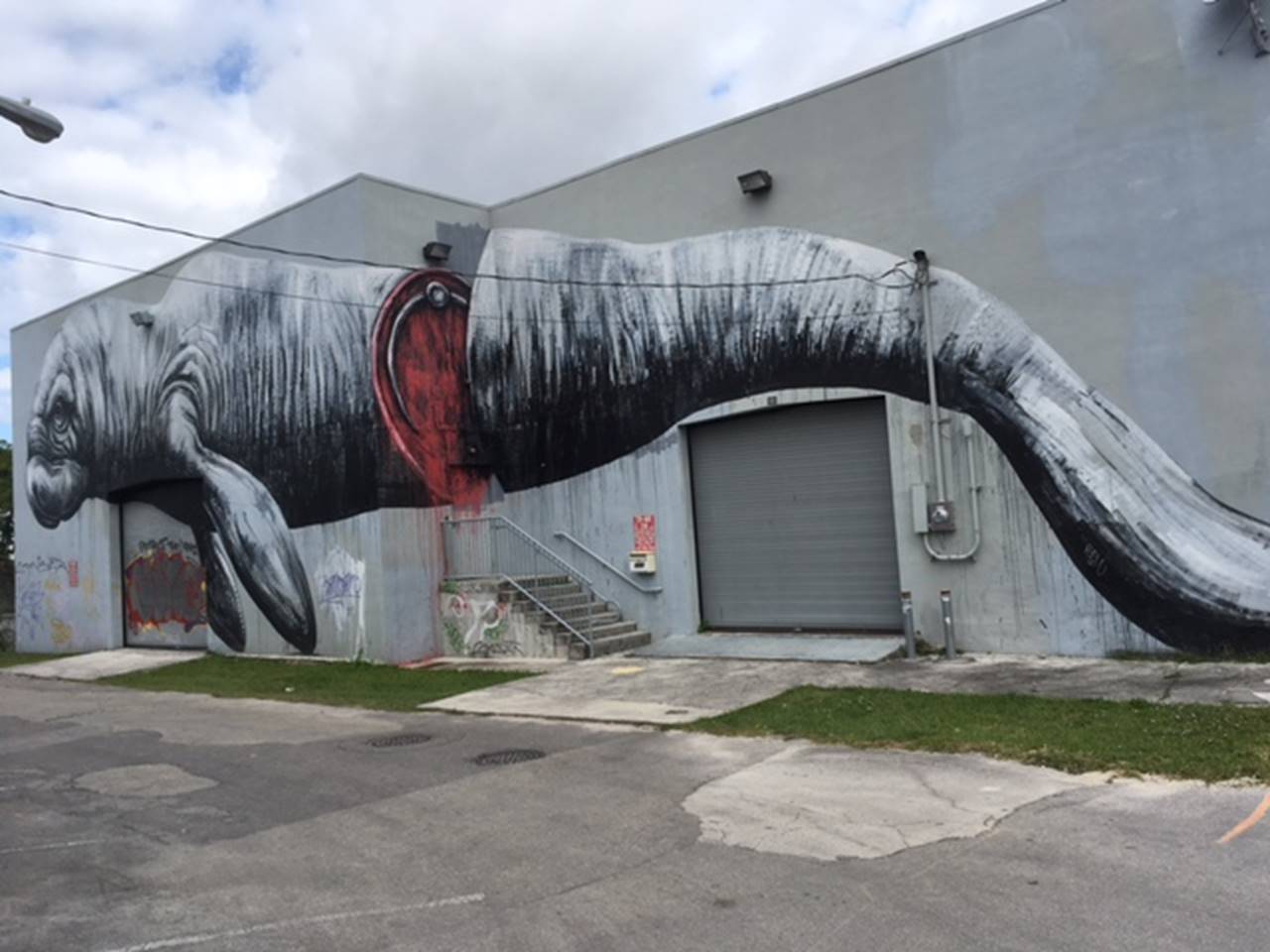 Wynwood art