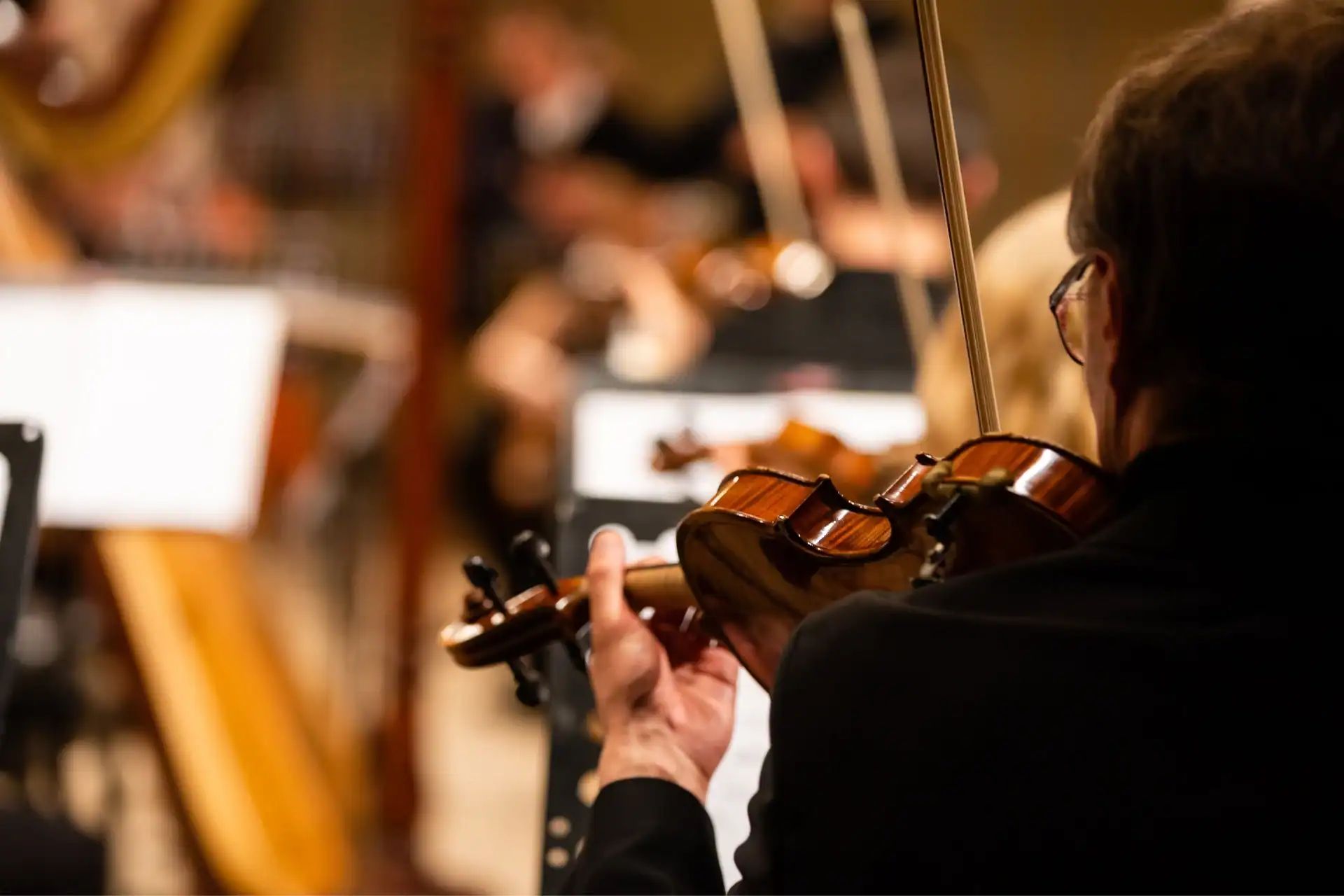 Featured image for “Hearing Loss in Musicians and How to Prevent It”