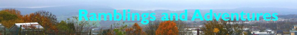 Ramblings and wild adventures