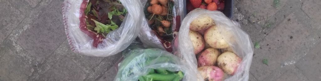 Produce Produce