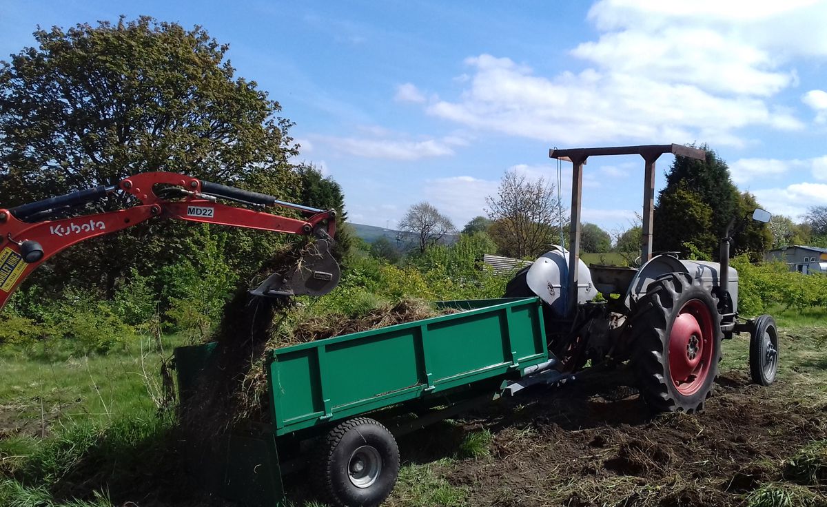 1954 Ferguson tractor action
