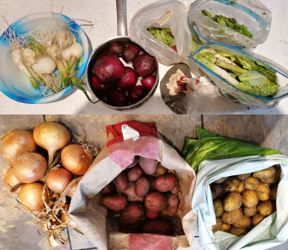 Winter harvest Winter harvest