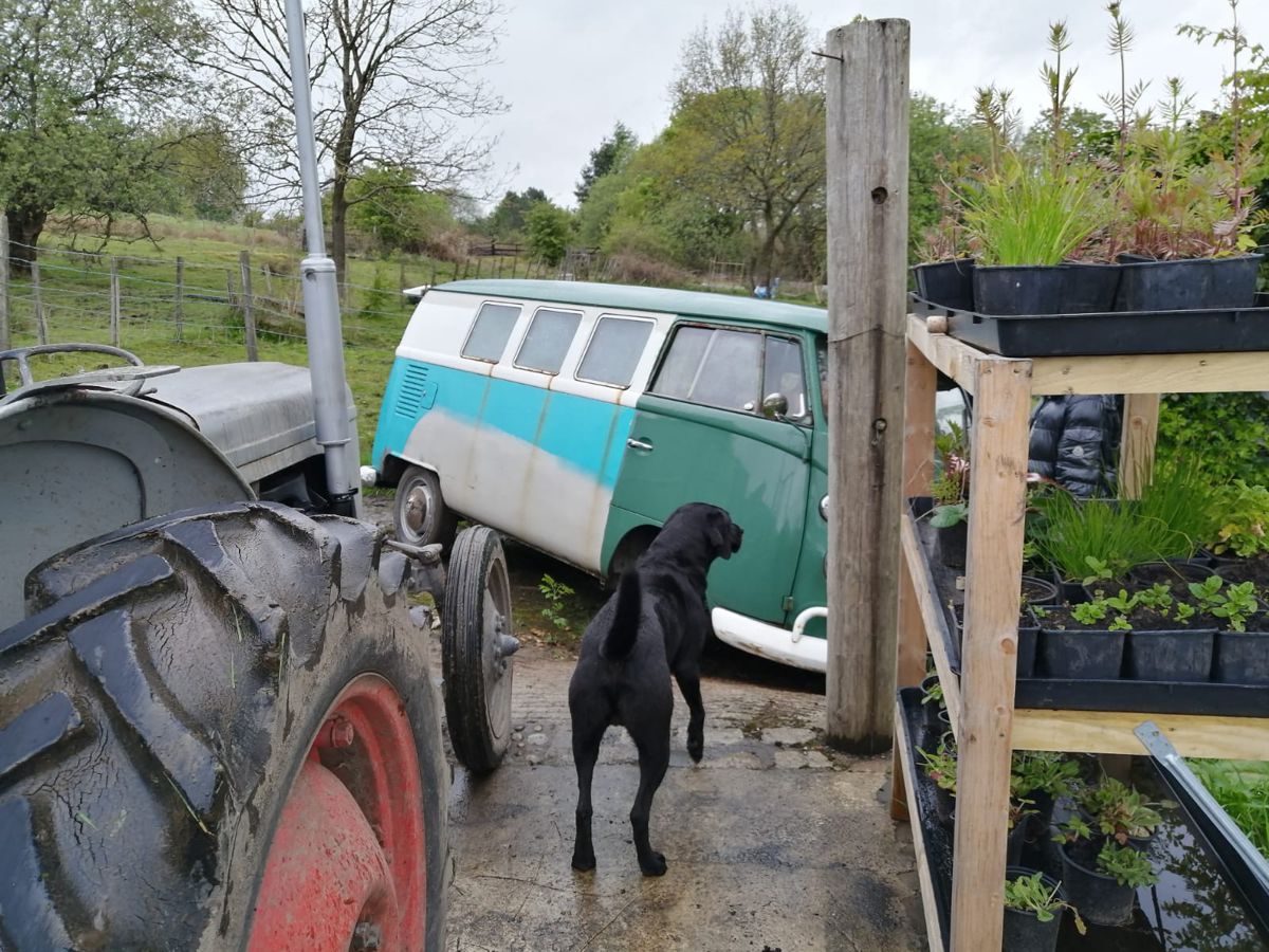 Van stuck - tractor to the rescue