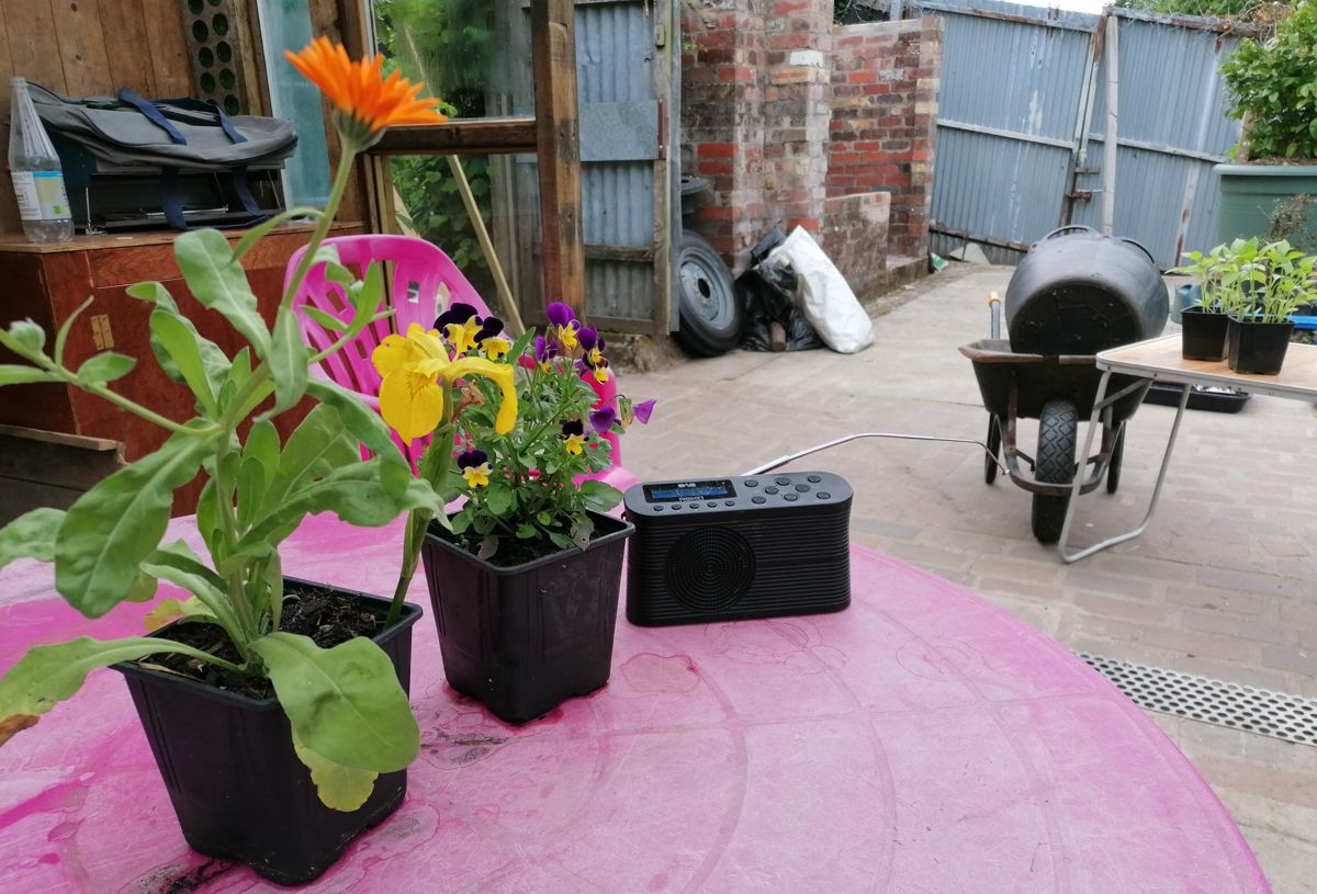 Flowers on a pink plastic table