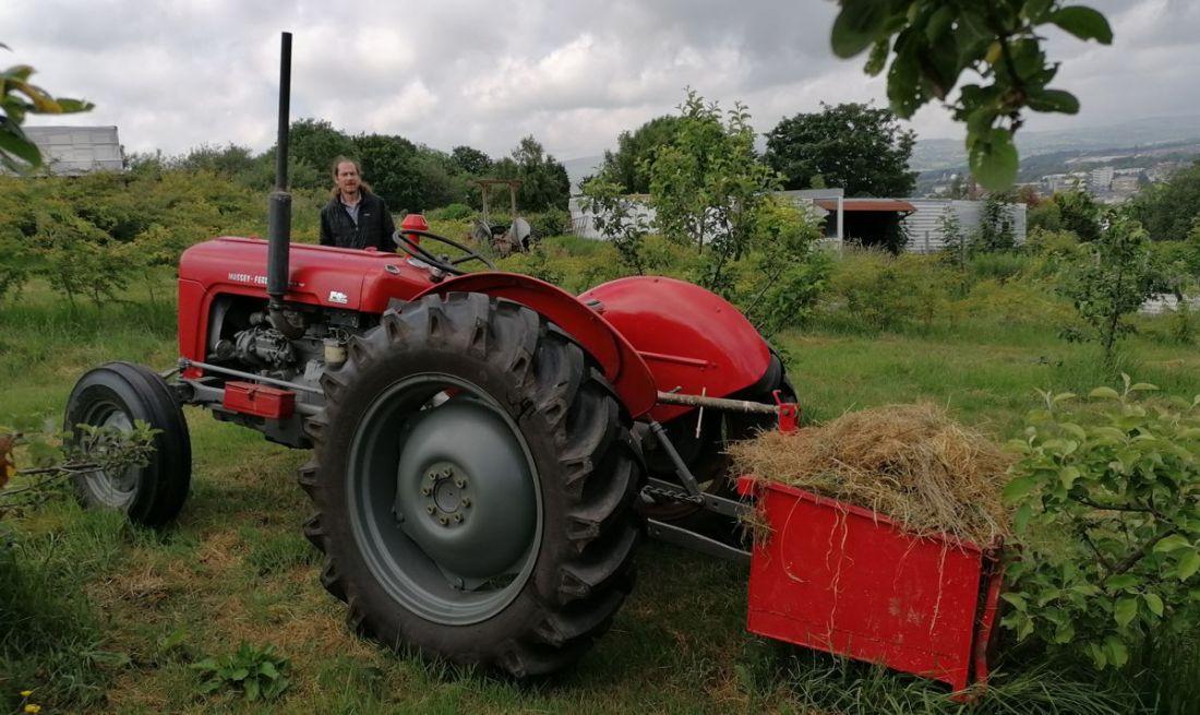 Hay gathering Hay gathering