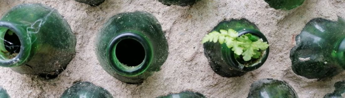 Fern in bottle