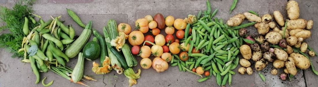 produce produce