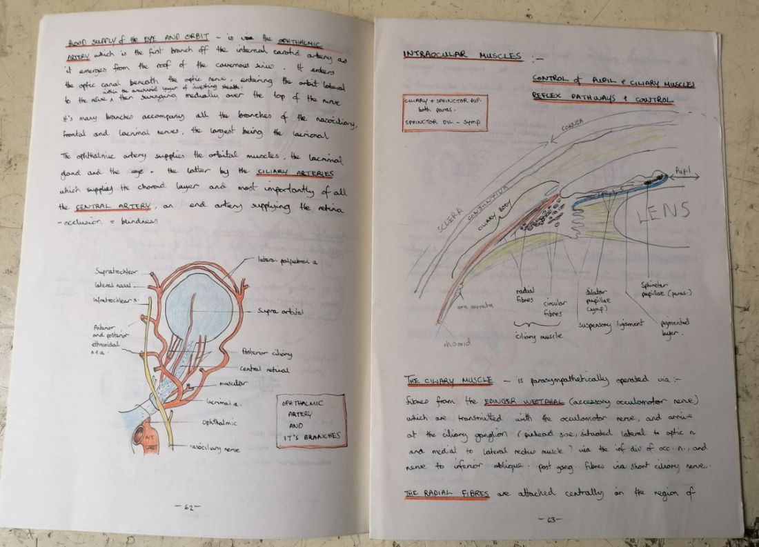 Anatomy Anatomy