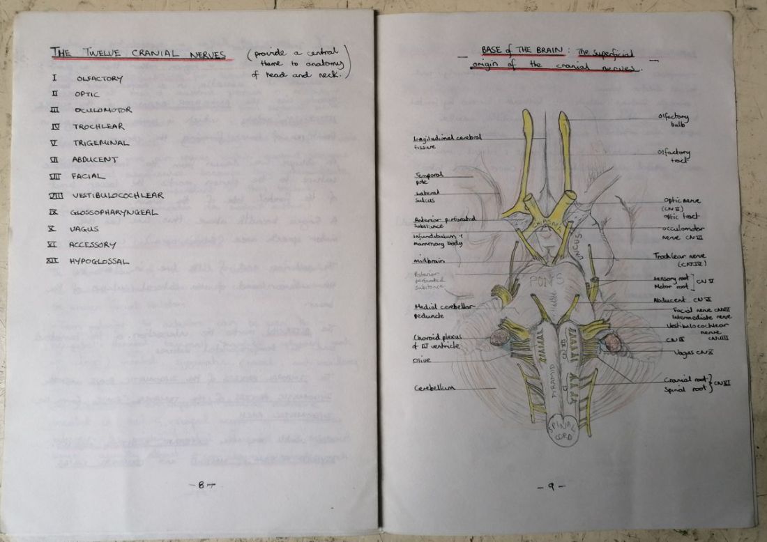 Medical school anatomy Medical school anatomy
