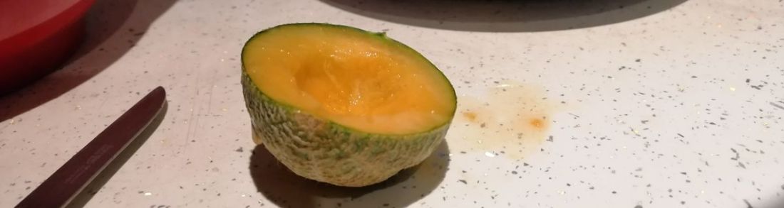 mini melon mini melon