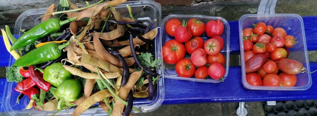 Produce