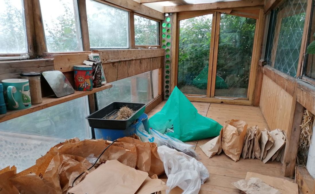 Seed saving