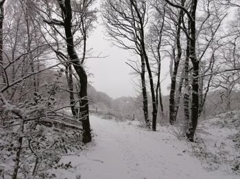 Two pics of same view
