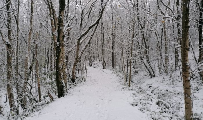 Narnia?