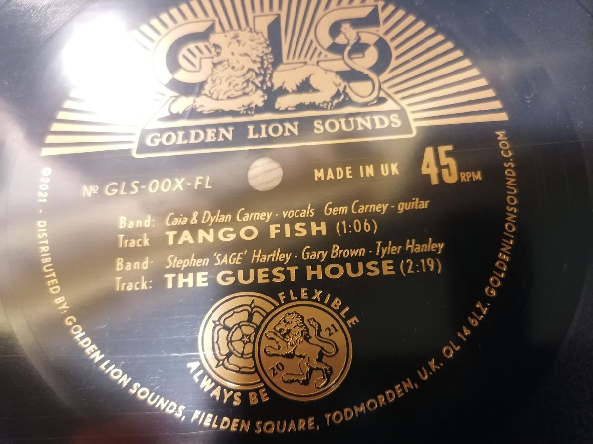 Stephen Hartley song on Golden Lion flexi disc