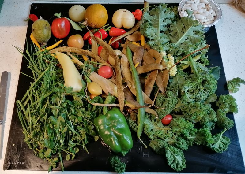 Autumn haul Autumn haul