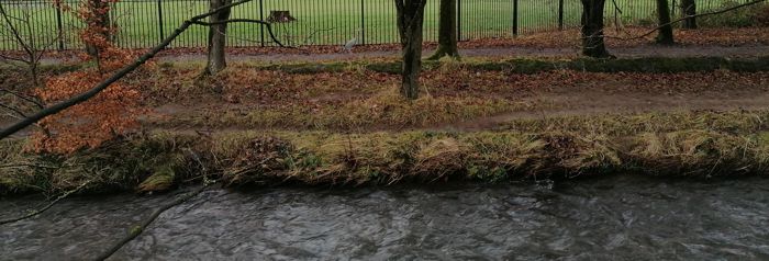 River and heron River and heron