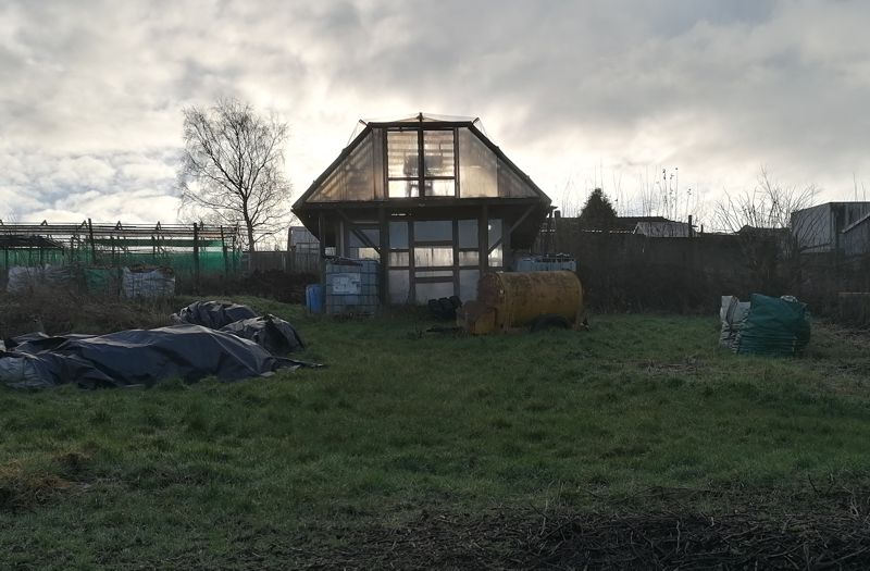 Setting sun behind greenhouse.