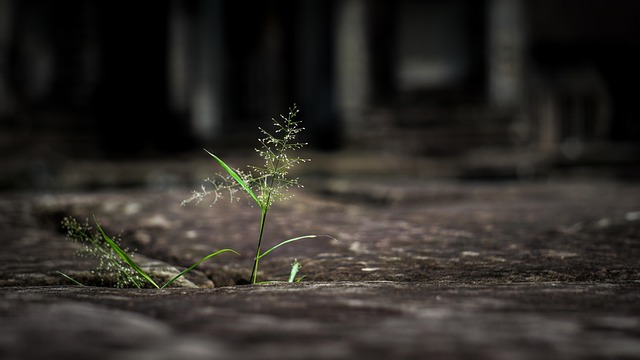 resilience