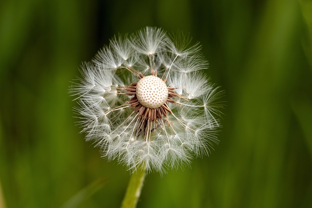 resilience