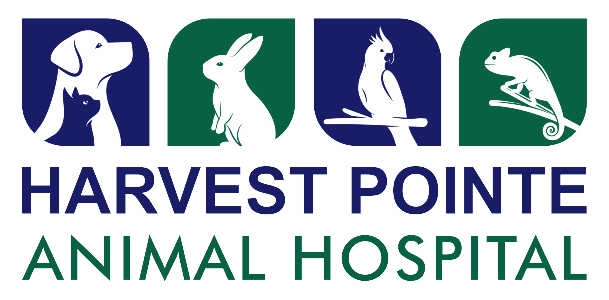 Sherwood south animal hospital jobs