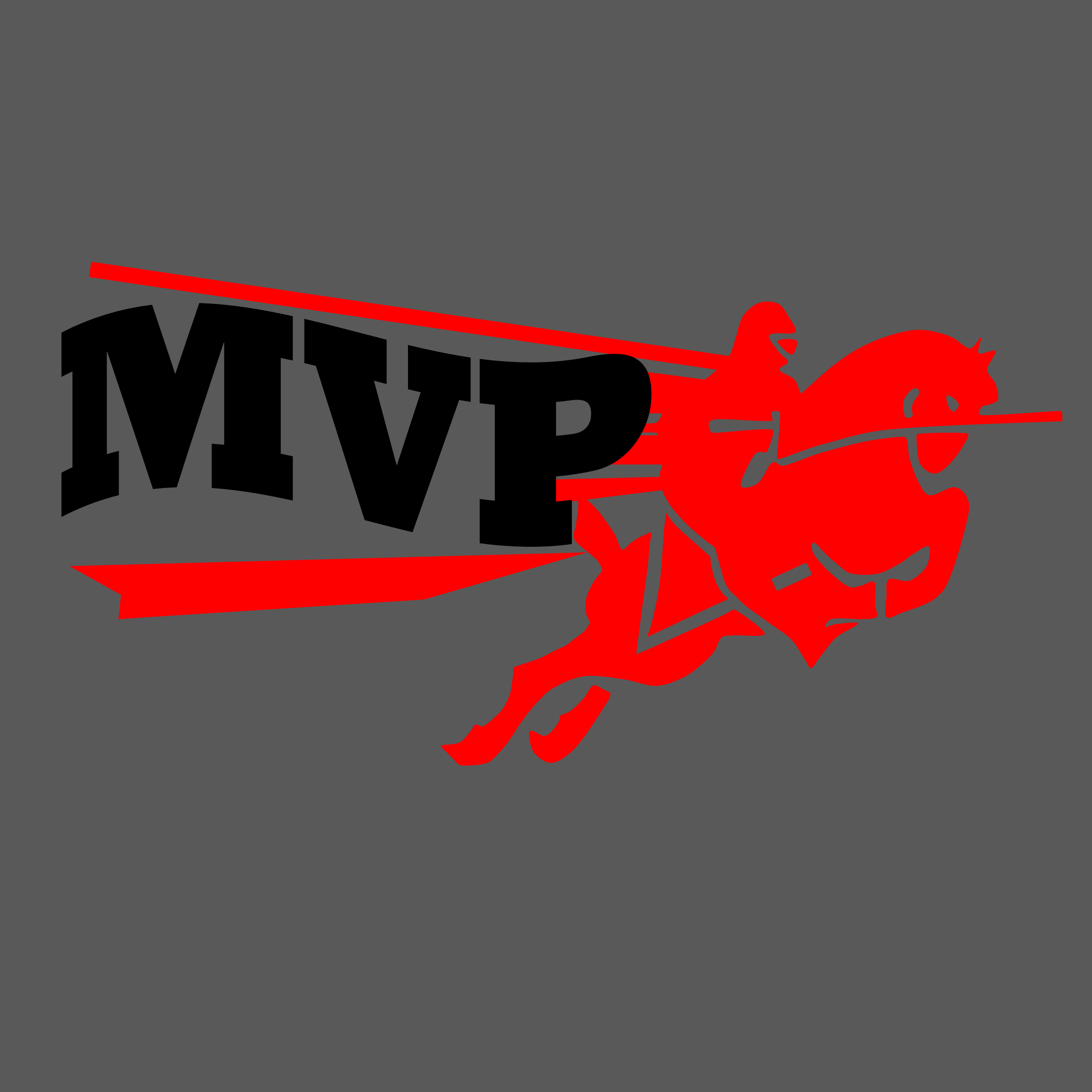 MVP-Most Valuable Patron