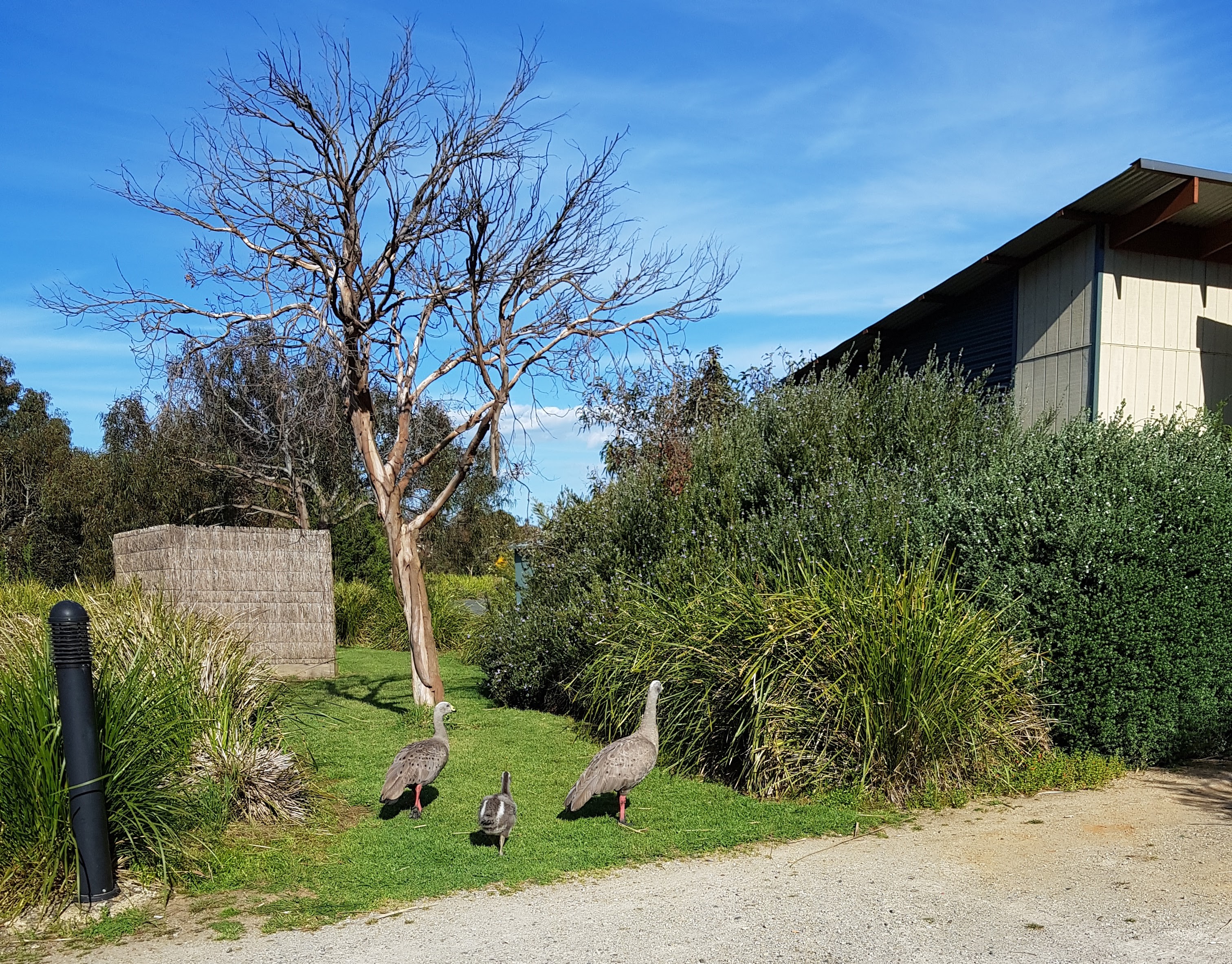 Enjoying the nature around the place