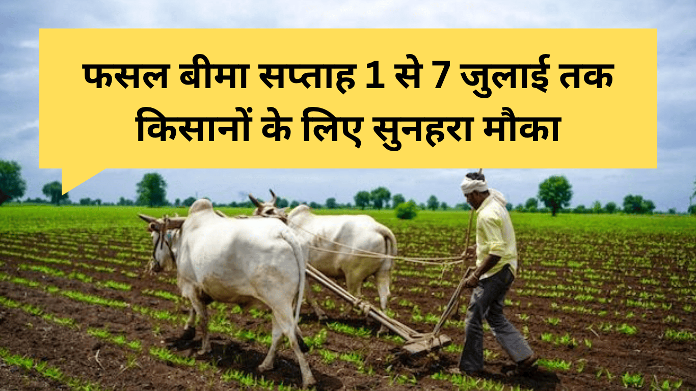 Crop Insurance Week: फसल बीमा सप्ताह 1 से 7 जुलाई तक किसानों के लिए सुनहरा मौका