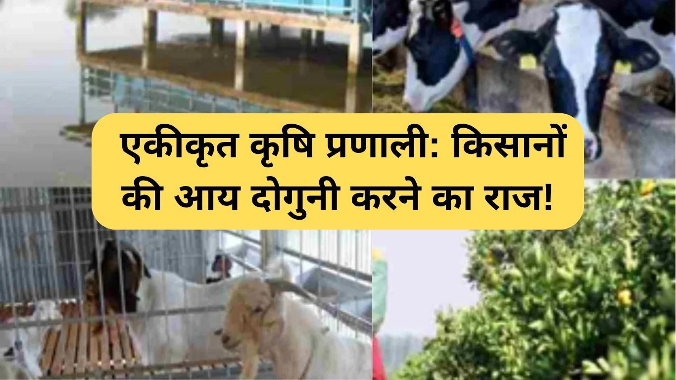 Integrated Farming System: किसानों की आय दोगुनी करने का राज!