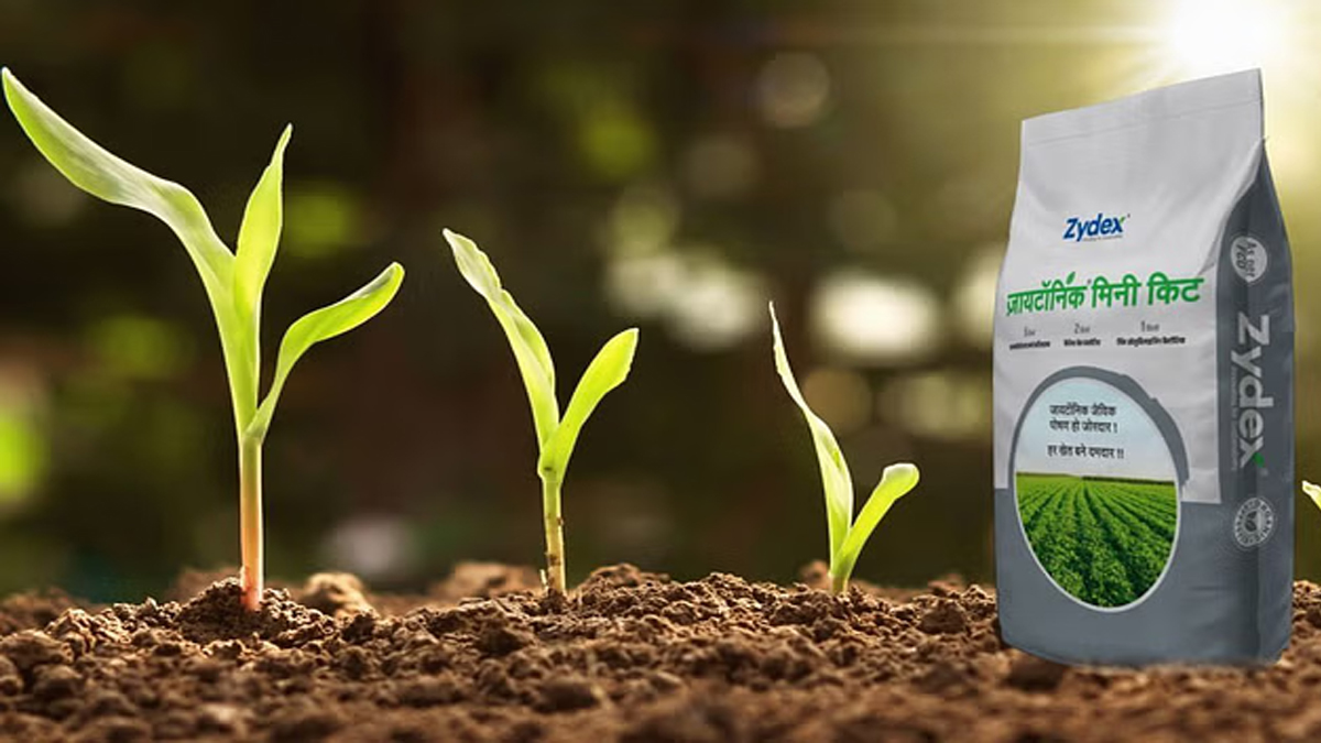Zytonic Mini Kit रासायनिक खाद का सस्ता और जैविक विकल्प, किसानों की नई उम्मीद