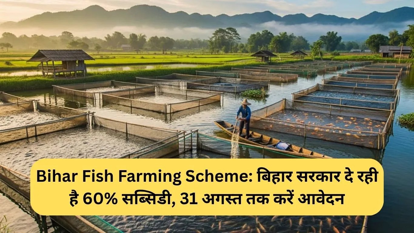 Bihar Fish Farming Scheme: बिहार सरकार दे रही है 60% सब्सिडी, 31 अगस्त तक करें आवेदन