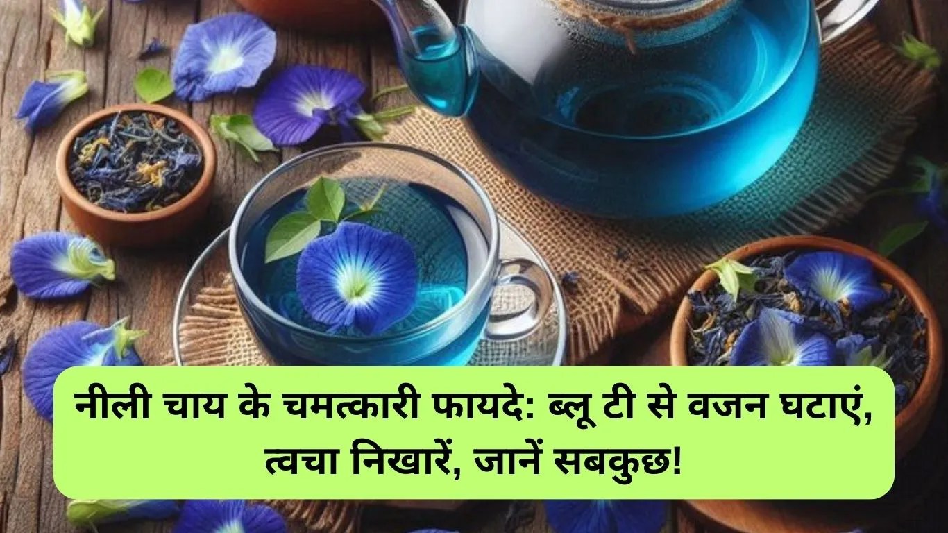 Blue Tea Benefits: नीली चाय के चमत्कारी फायदे, ब्लू टी से वजन घटाएं, त्वचा निखारें, जानें सबकुछ!