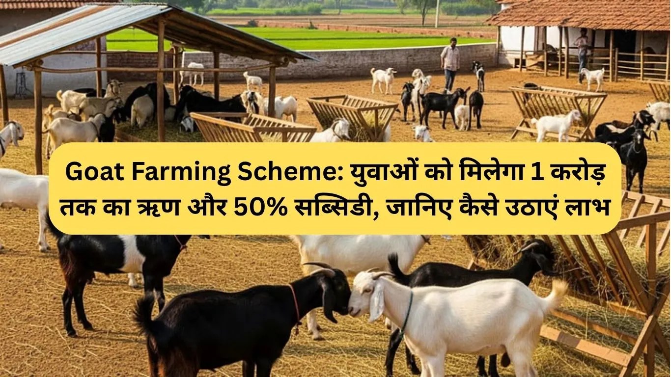 Goat Farming Scheme: युवाओं को मिलेगा 1 करोड़ तक का ऋण और 50% सब्सिडी, जानिए कैसे उठाएं लाभ