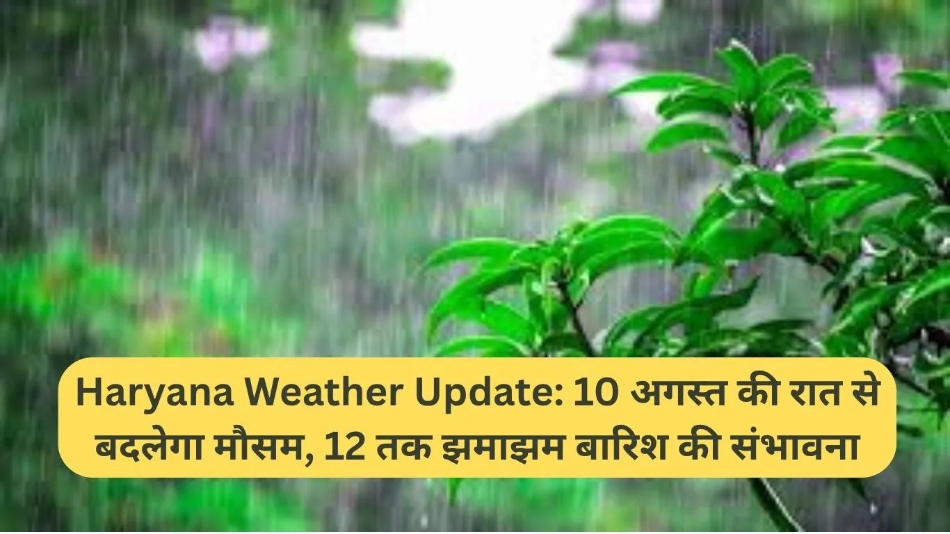 Haryana Weather Update: 10 अगस्त की रात से बदलेगा मौसम, 12 तक झमाझम बारिश की संभावना