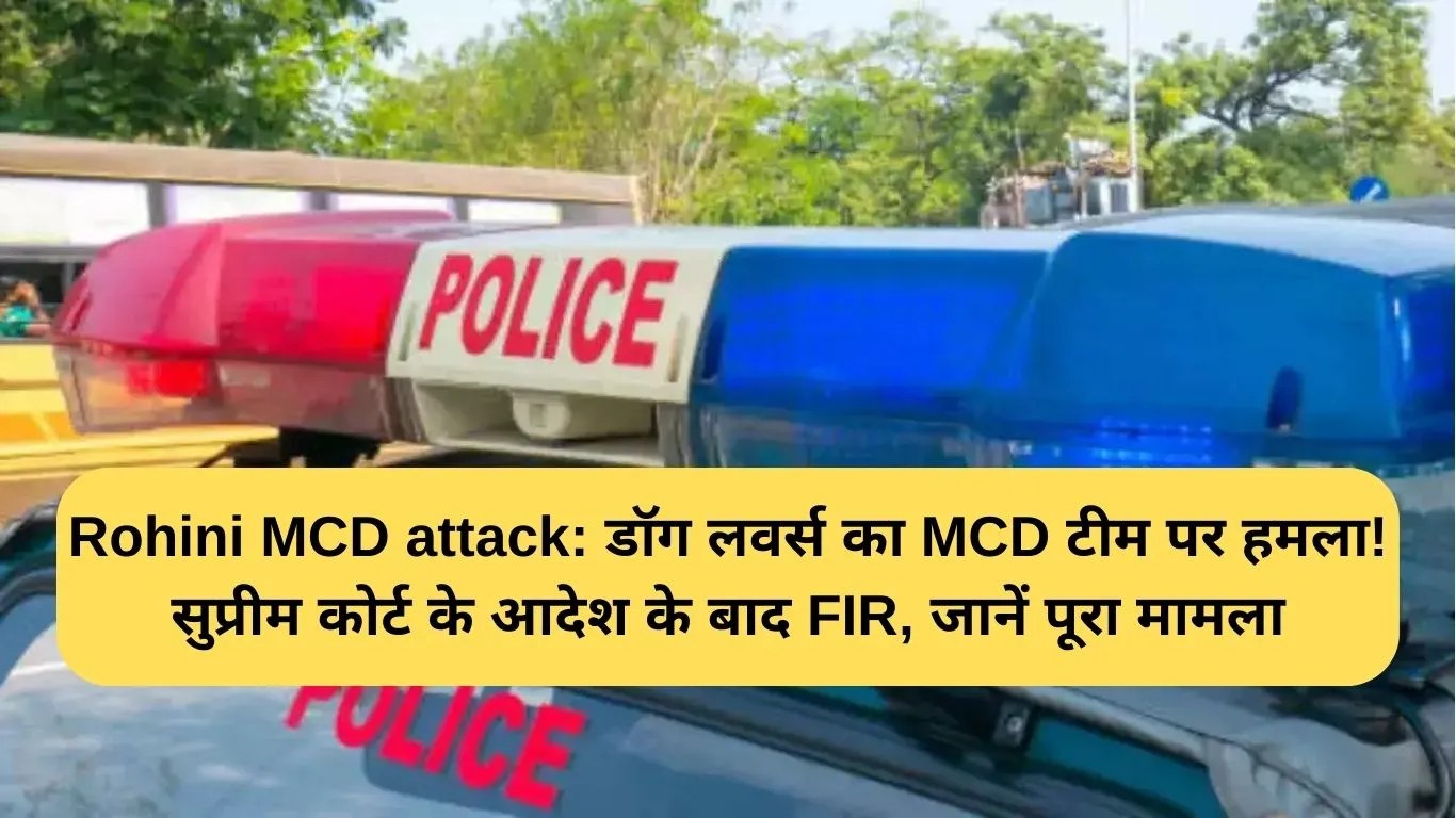Rohini MCD attack: डॉग लवर्स का MCD टीम पर हमला! सुप्रीम कोर्ट के आदेश के बाद FIR, जानें पूरा मामला