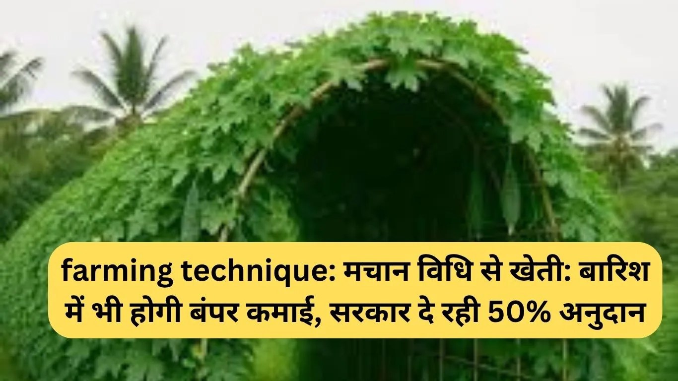 farming technique: मचान विधि से खेती: बारिश में भी होगी बंपर कमाई, सरकार दे रही 50% अनुदान