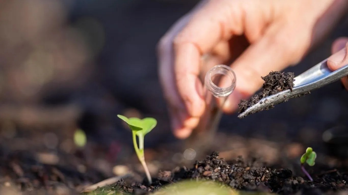 Soil testing: मिट्टी की जांच से बंपर पैदावार! कपास और खाद के ये टिप्स बदल देंगे किसानों की किस्मत!