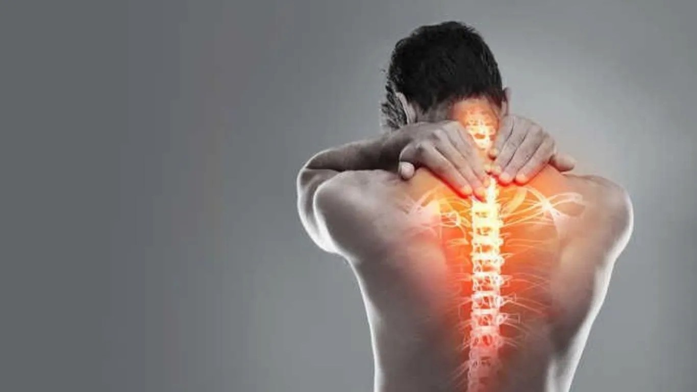 वर्ल्ड स्पाइनल कॉर्ड इंजरी डे (World Spinal Cord Injury Day): गिरना है सबसे बड़ा खतरा, PGI-CSIR की अनोखी व्हीलचेयर बदल देगी जिंदगी!