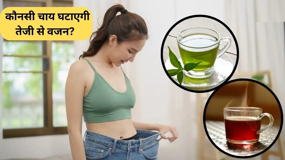 Green Tea Weight Loss: कौनसी चाय घटाएगी तेजी से वजन? जवाब जानकर दंग रह जाएंगे!