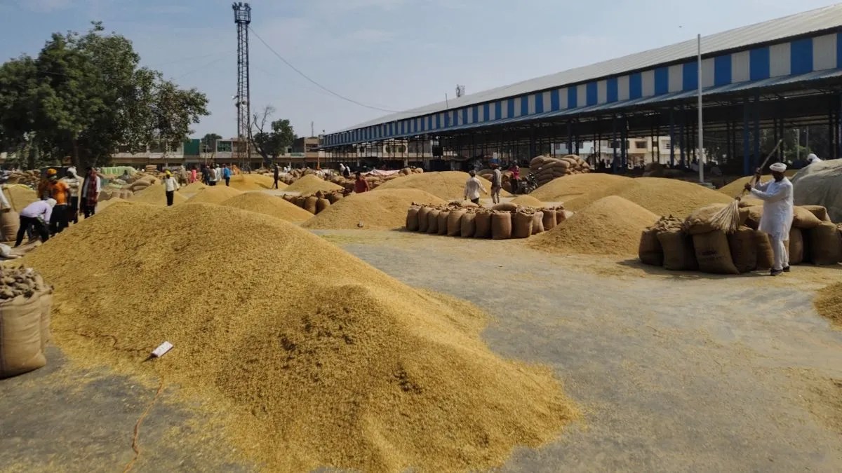 Paddy Procurement Scam: खरीद बंद होने के बाद भी कटे गेटपास! रात में धान खरीद से बड़ा खुलासा