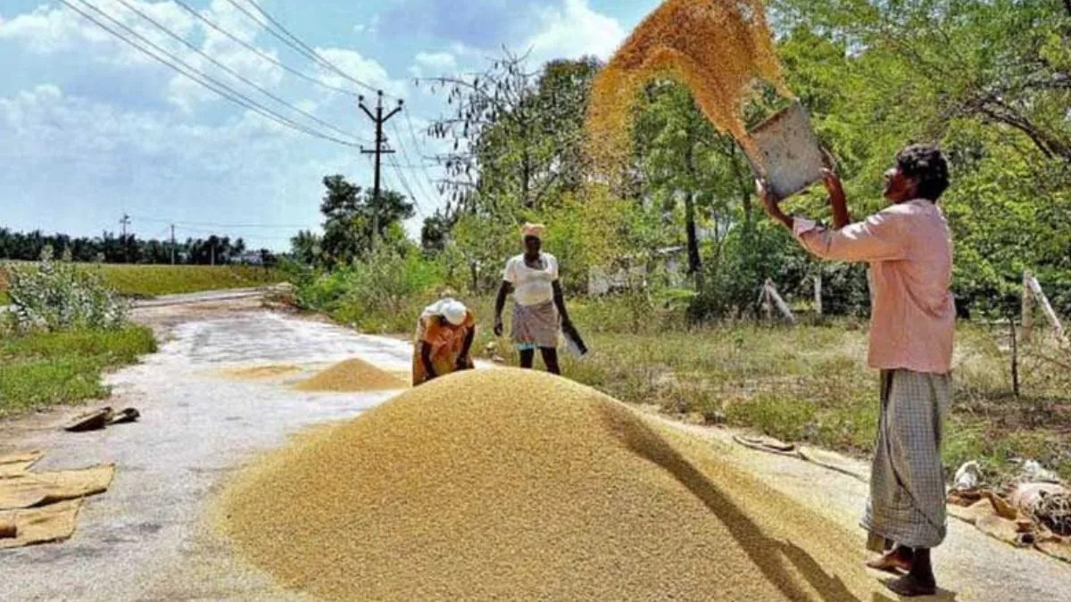 यमुनानगर राइस मिल घोटाला - 75 करोड़ के धान गबन में दंपती की संपत्ति जब्त होने की तैयारी।