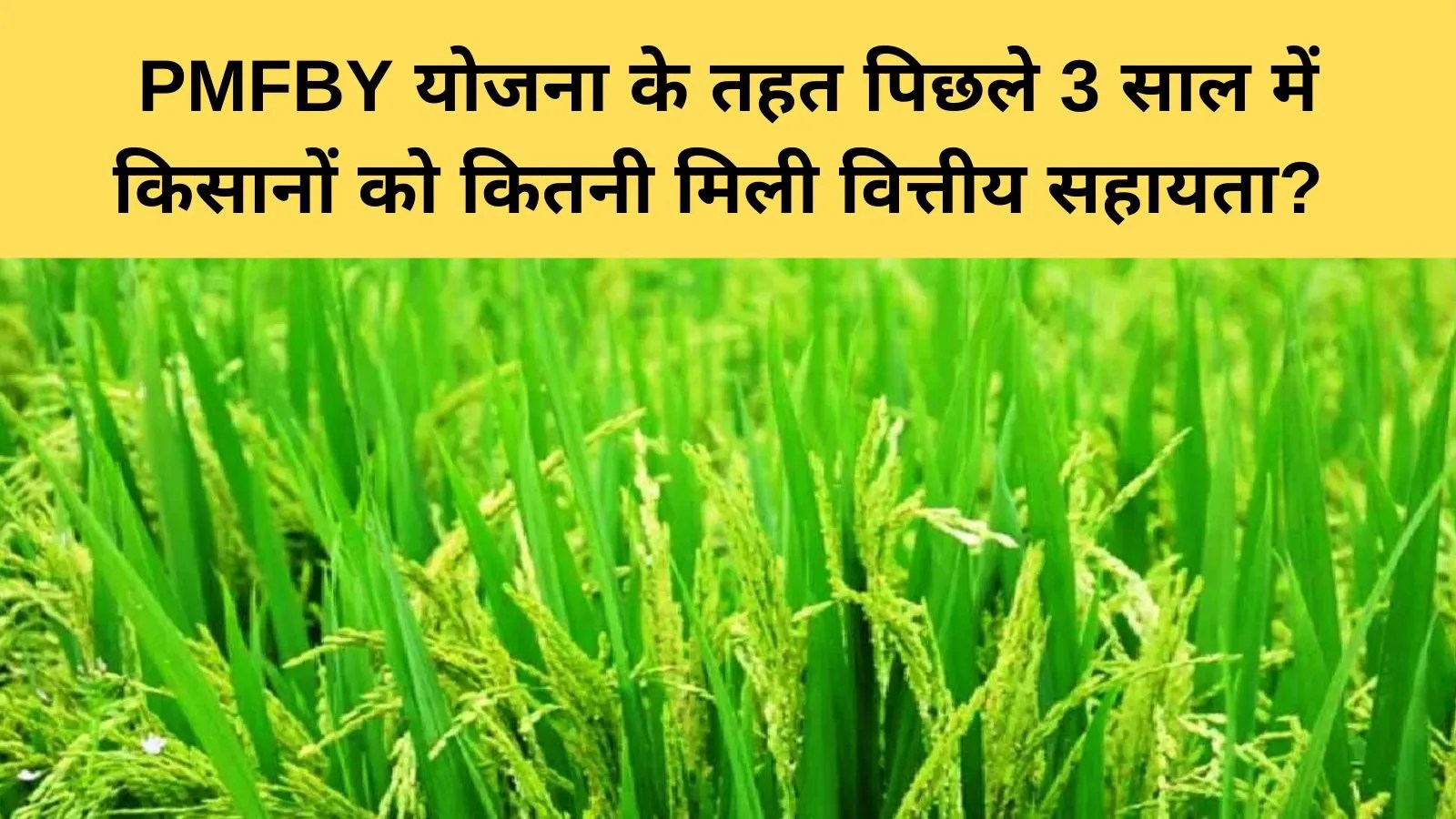 PMFBY: फसल बीमा योजना में तकनीक से तेज हुआ क्लेम भुगतान